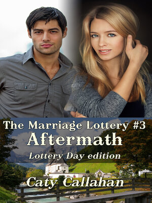 cover image of Marriage Lottery 3
